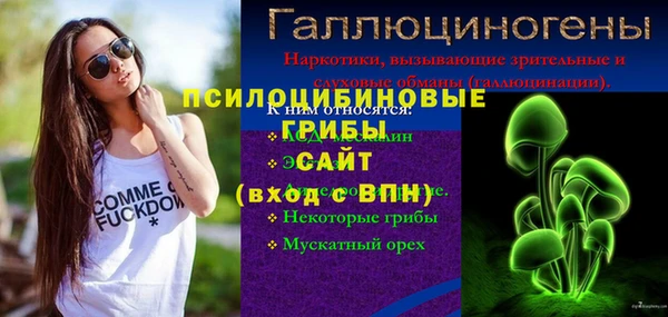 ГАЛЛЮЦИНОГЕННЫЕ ГРИБЫ Богородицк